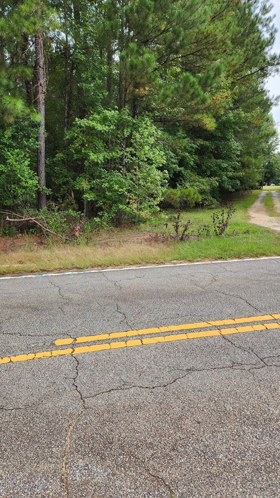 6255 Fish Road Dalzell, SC 29040 - Photo 5 of 6