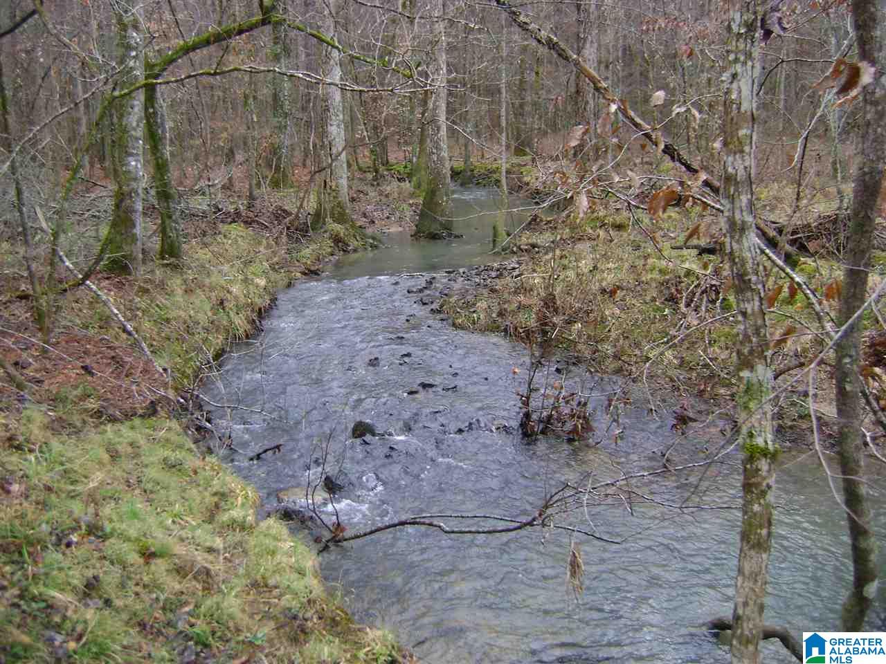 47586 Highway 25 Sterrett, AL 35147 - Photo 16 of 20
