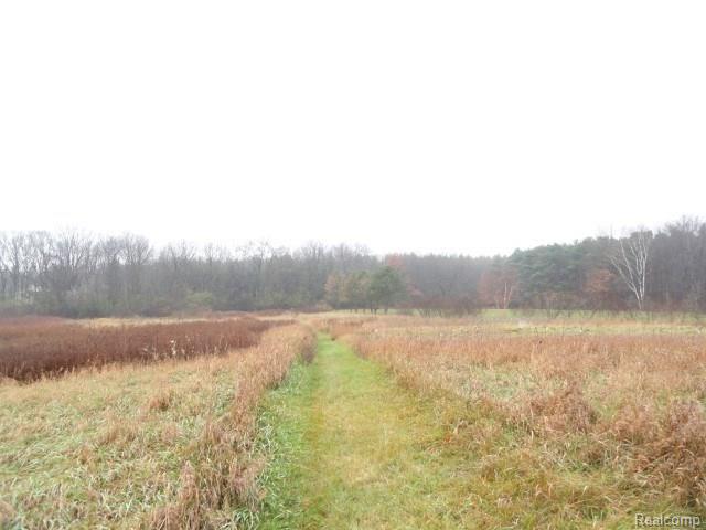 2154 Broker Road Lapeer, MI 48446 - Photo 13 of 38