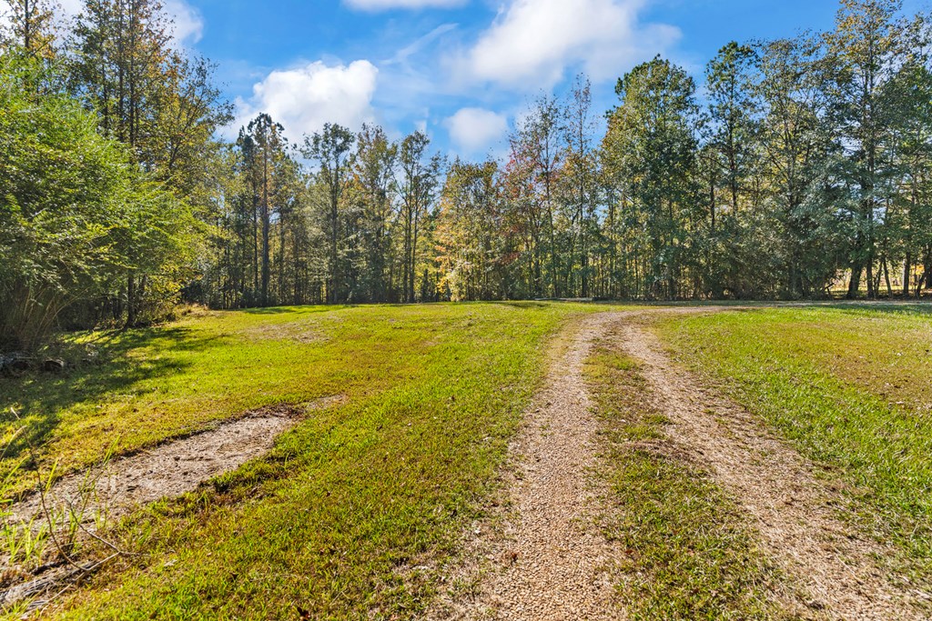 345 Howard Road Seale, AL 36875 - Photo 24 of 29 Gallery Image 24