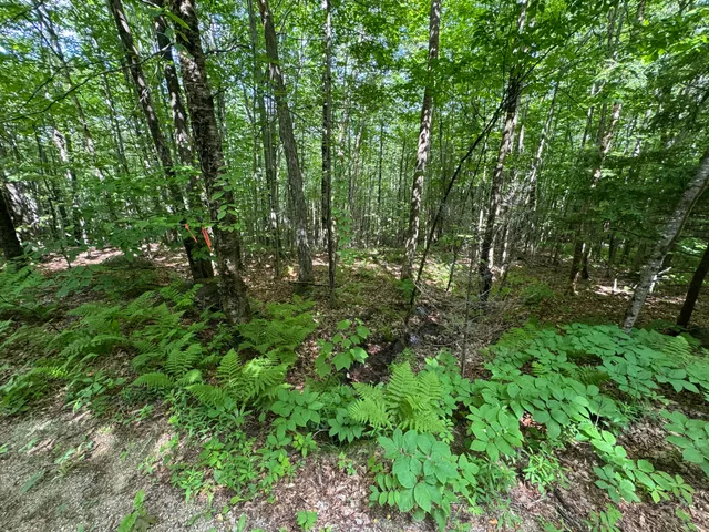 $86,000 | 10-11 Davenport Road, Hartford, ME 04220