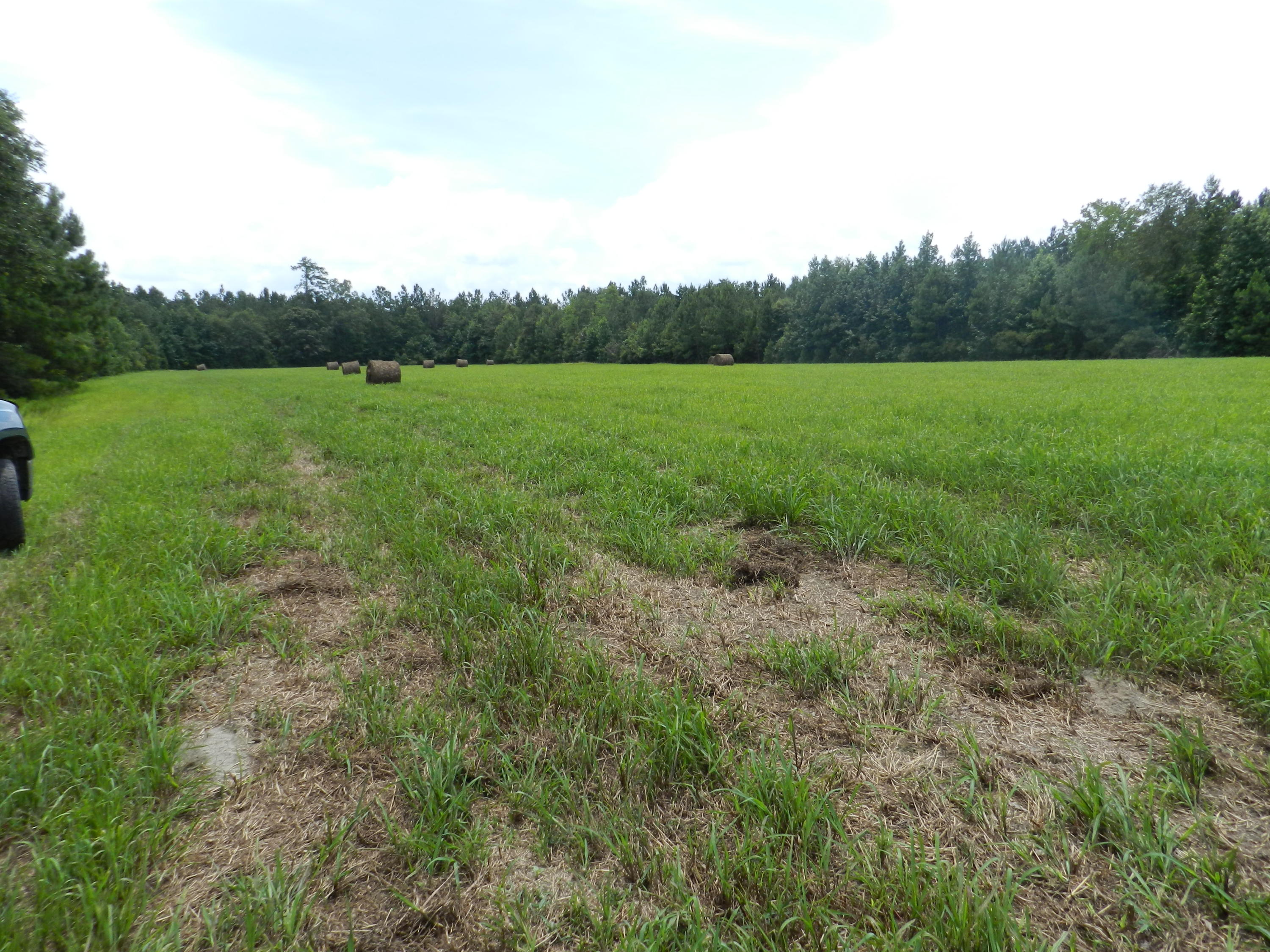 0 Turkey Pond Road Jamestown, SC 29453 - Photo 2 of 9 64 002