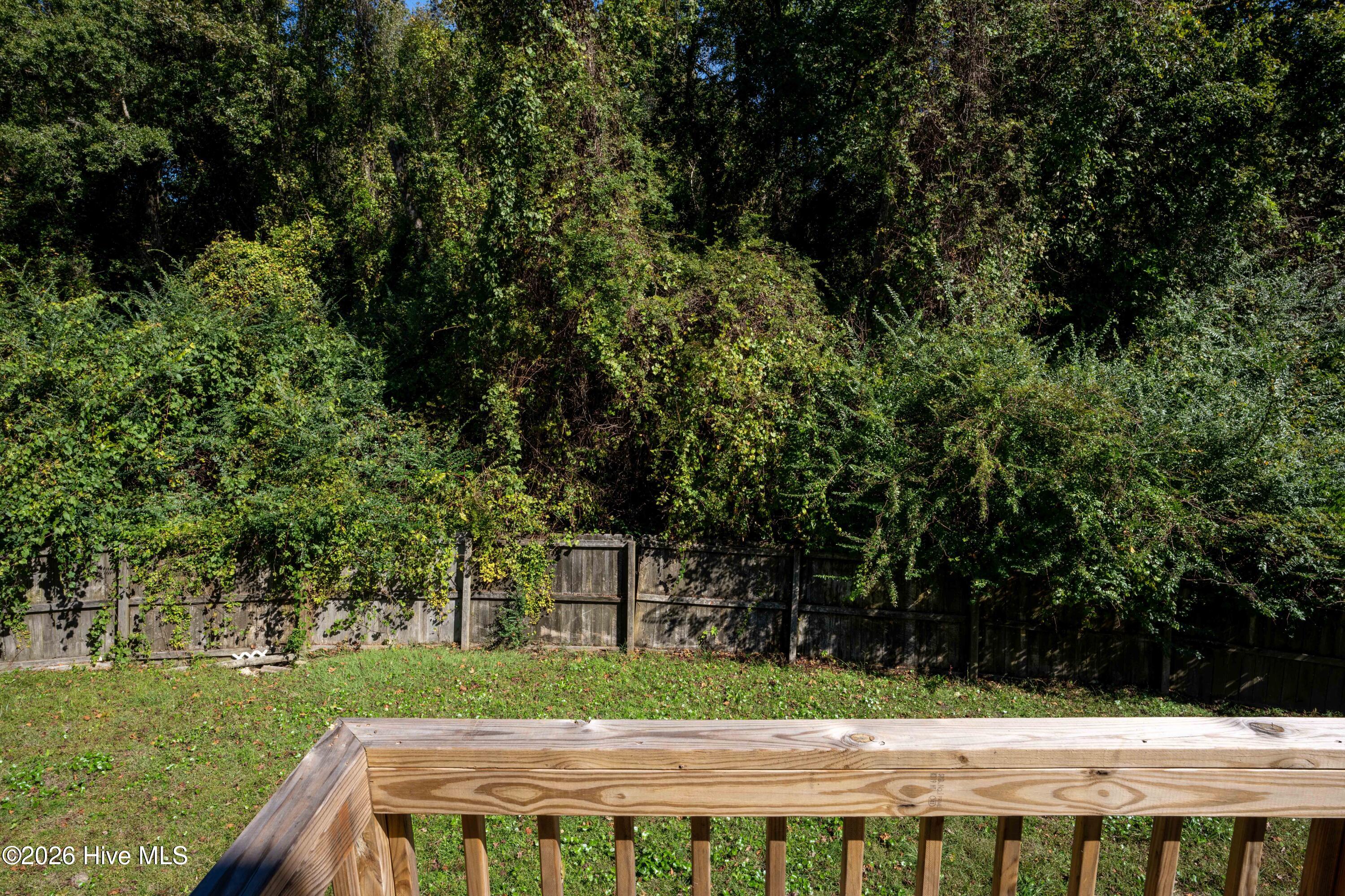 607 Riva Ridge Road Sneads Ferry, NC 28460 - Photo 3 of 20 original (5)