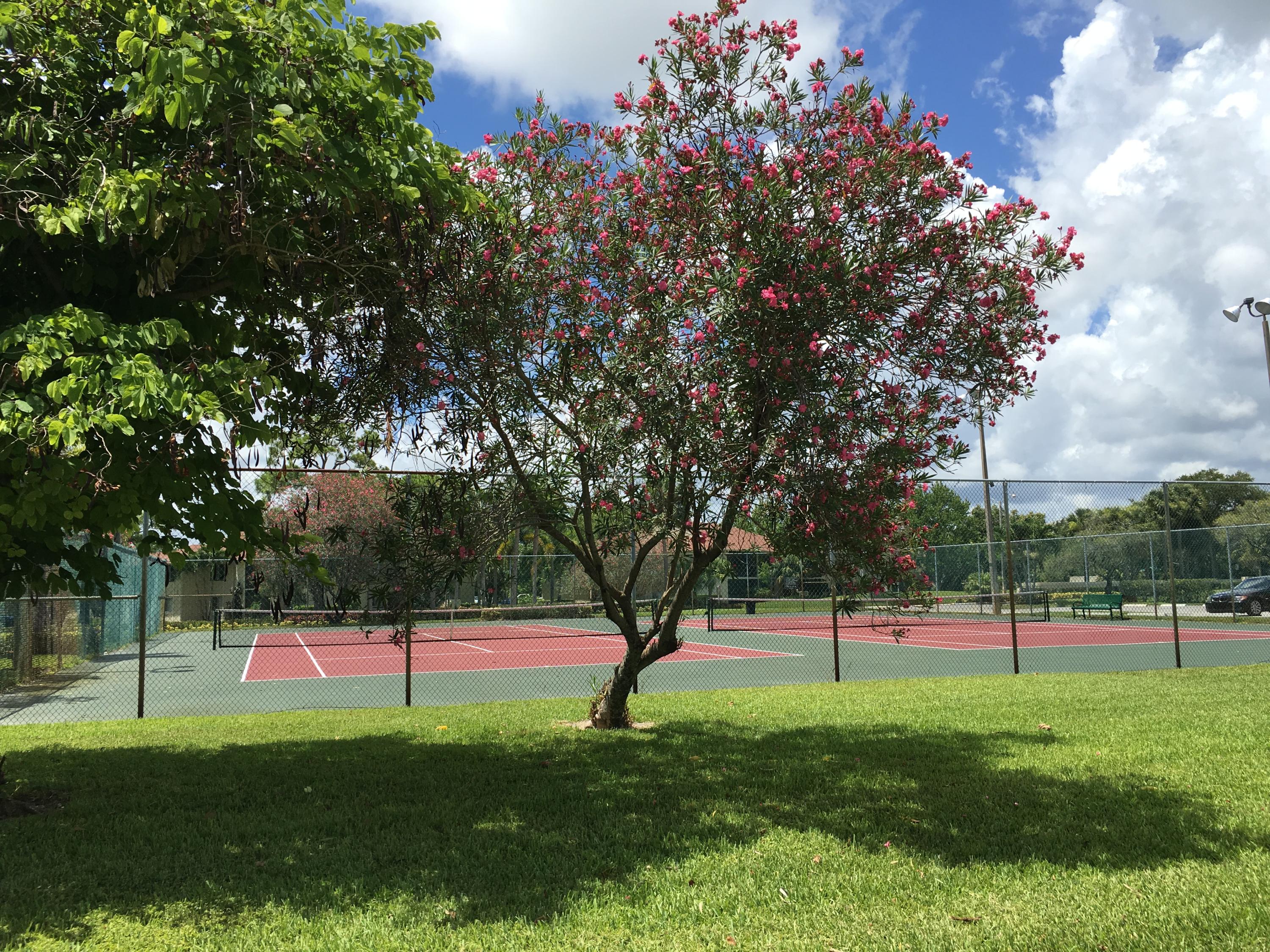 6556 Chasewood Drive, Unit A Jupiter, FL 33458 - Photo 29 of 43 IMG_4713