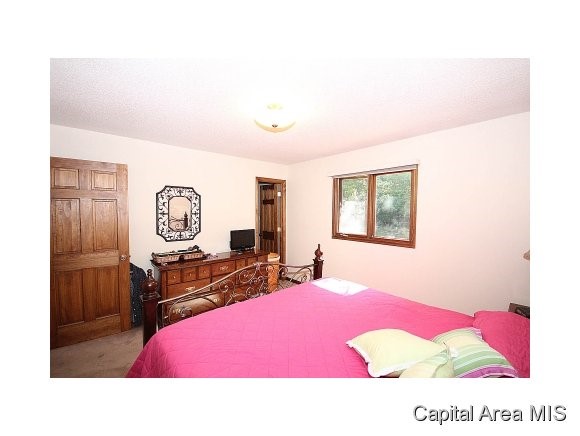 45 Sarah Avenue Springfield, IL 62703 - Photo 10 of 24