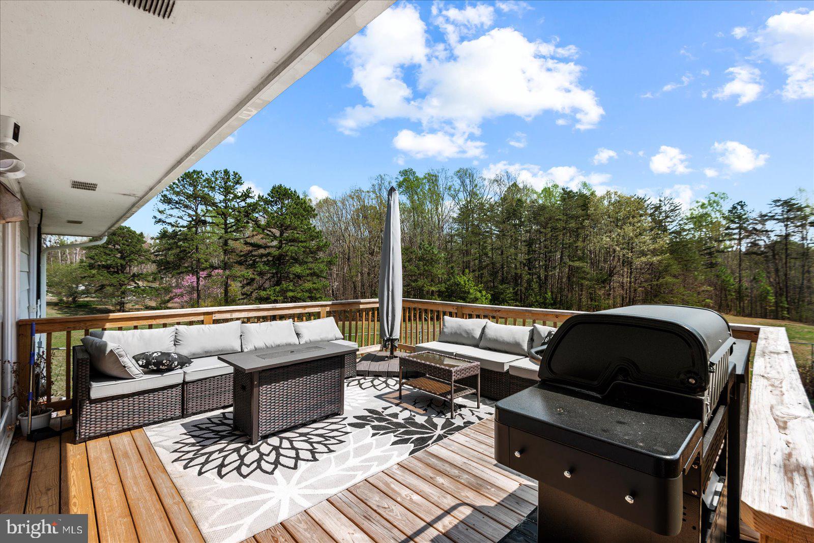 110 Spring Road Mineral, VA 23117 - Photo 16 of 36