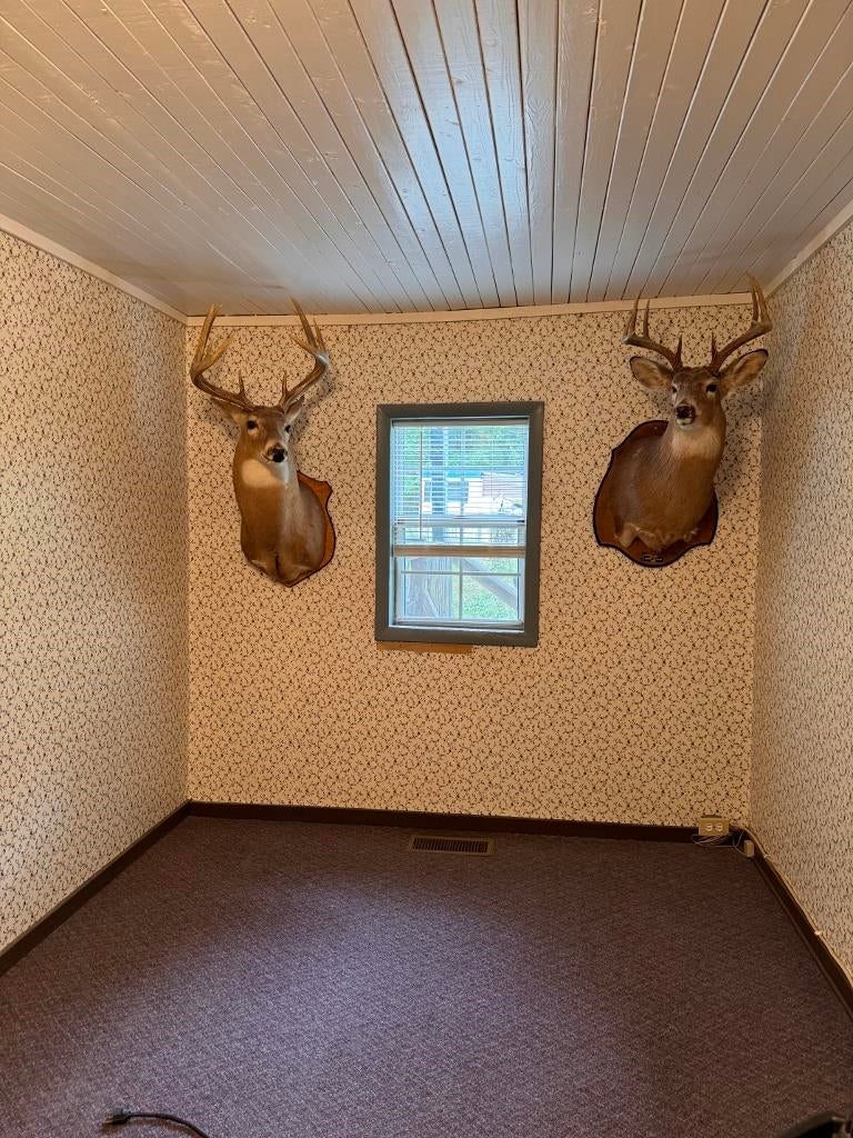 494 Hudson Branch Road Culloden, WV 25510 - Photo 11 of 20 Gallery Image 11