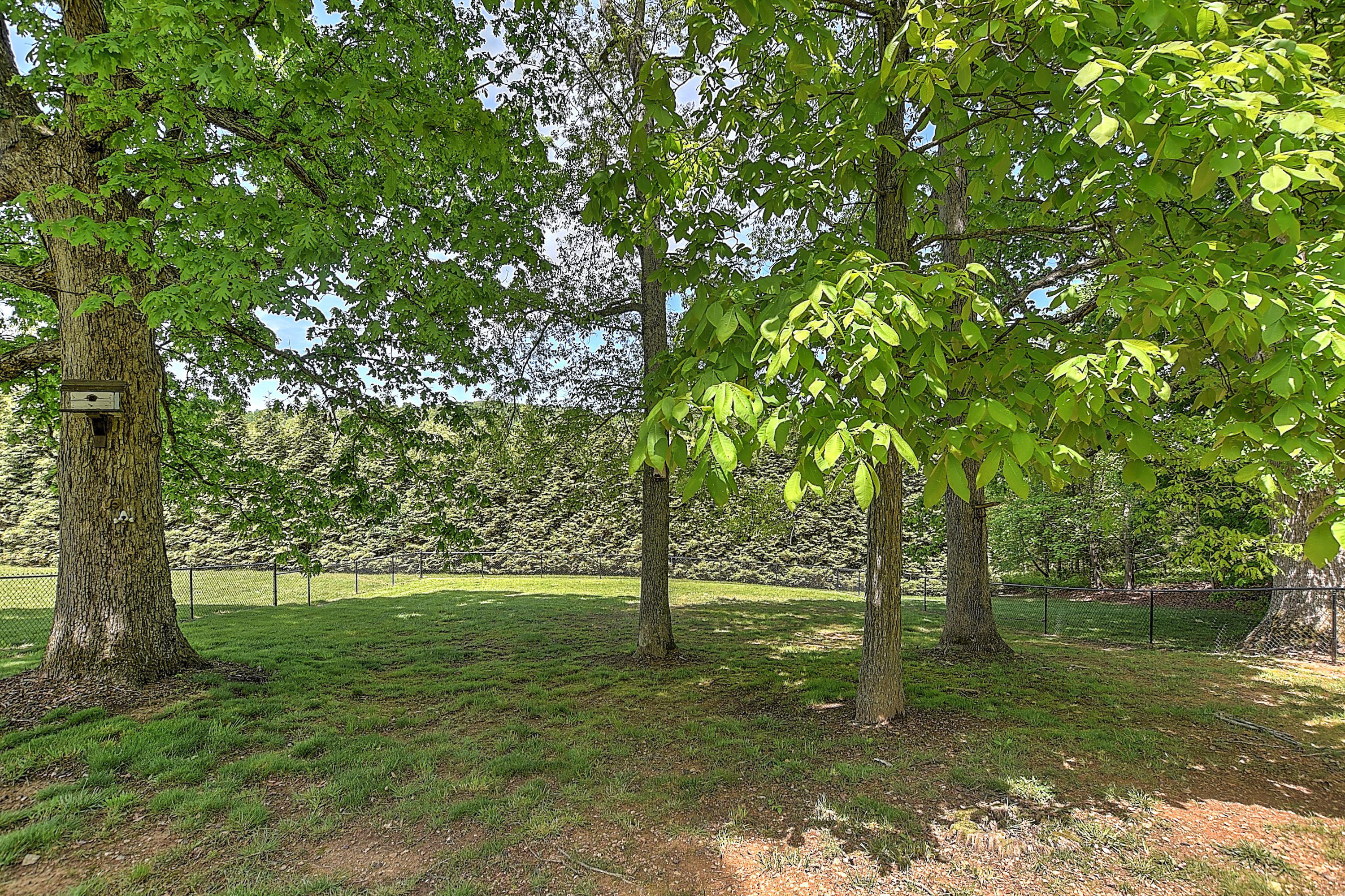 175 Eastern Star Road Kingsport, TN 37663 - Photo 46 of 49 175 Eastern Star Rd-46
