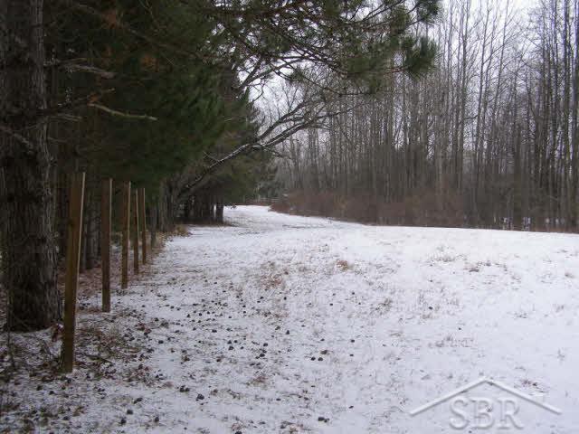 3153 Washburn Road Vassar, MI 48768 - Photo 1 of 4 20077443.JPG