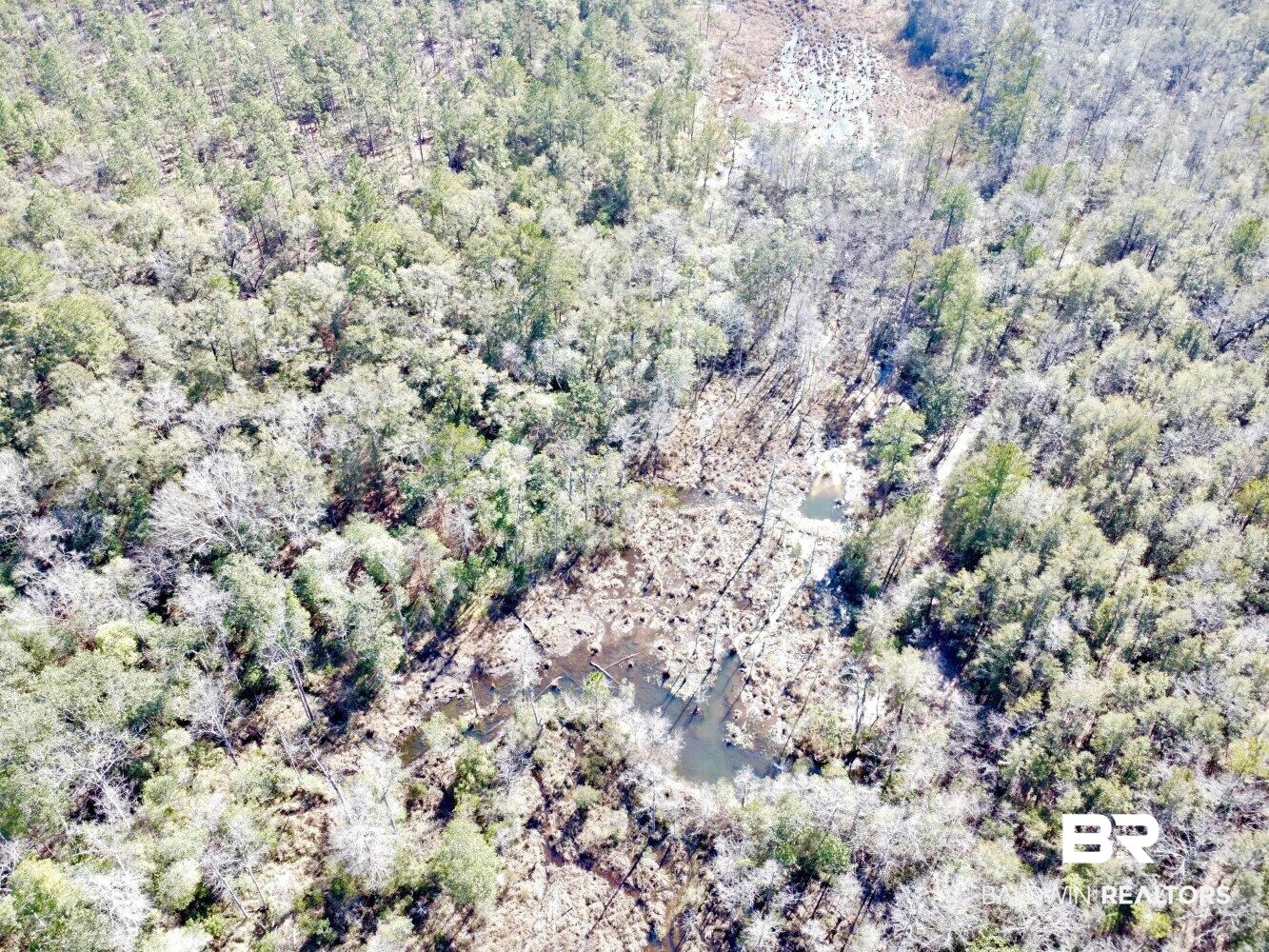 0 Dixon Road Bay Minette, AL 36507 - Photo 5 of 50
