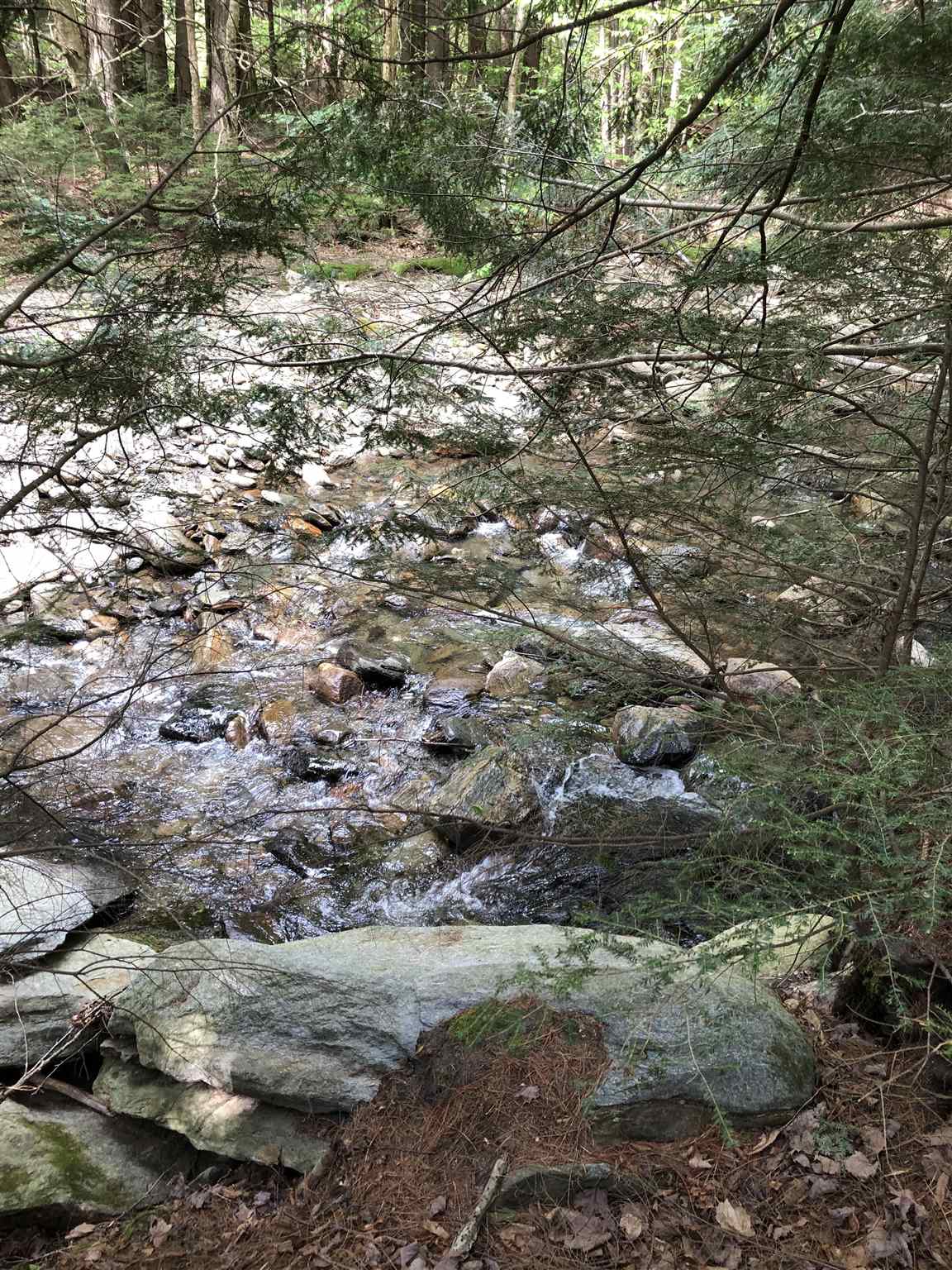 153 Pine Grove Road Jay, VT 05859 - Photo 2 of 9 Gallery Image 2