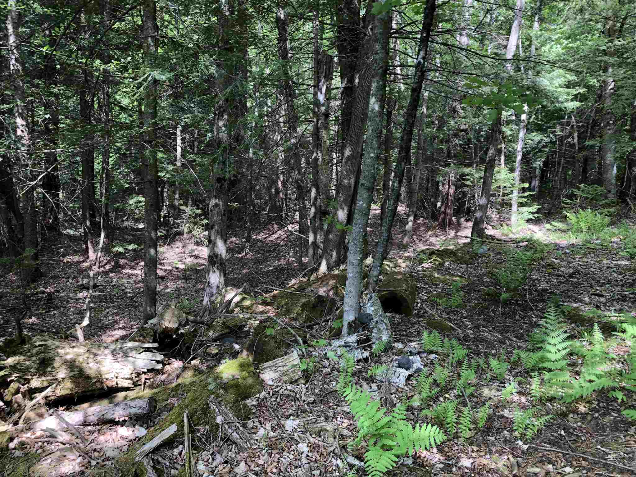 153 Pine Grove Road Jay, VT 05859 - Photo 5 of 9 Gallery Image 5