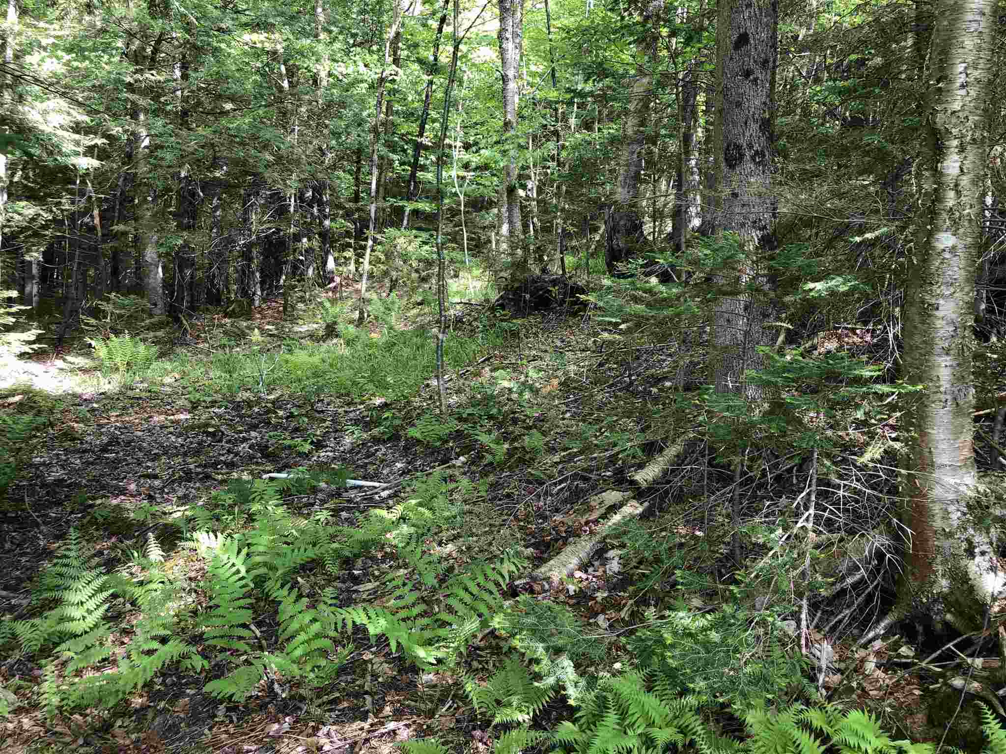 153 Pine Grove Road Jay, VT 05859 - Photo 6 of 9 Gallery Image 6