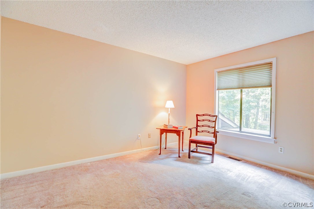 14117 Ridge Creek Road Midlothian, VA 23112 - Photo 15 of 24 an empty room with windows and chair