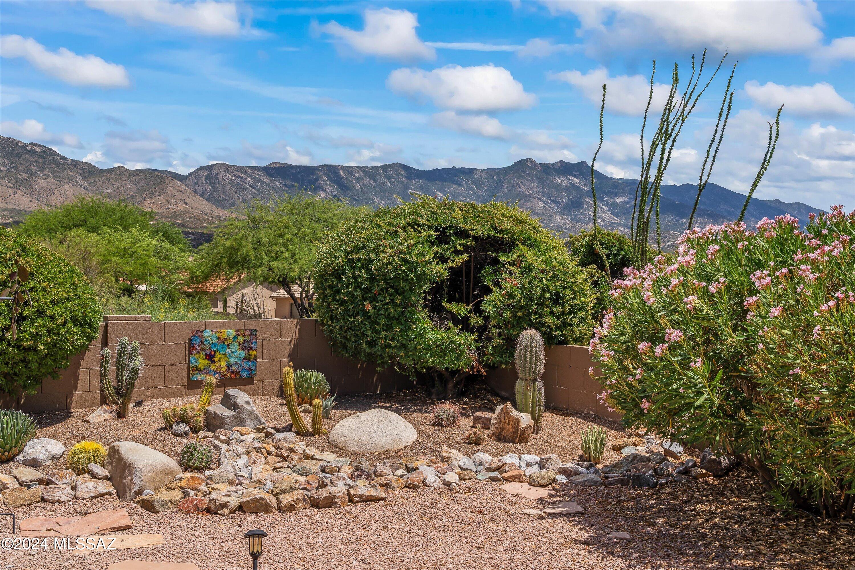 36031 Mesa Ridge Drive Tucson, AZ 85739 - Photo 39 of 45