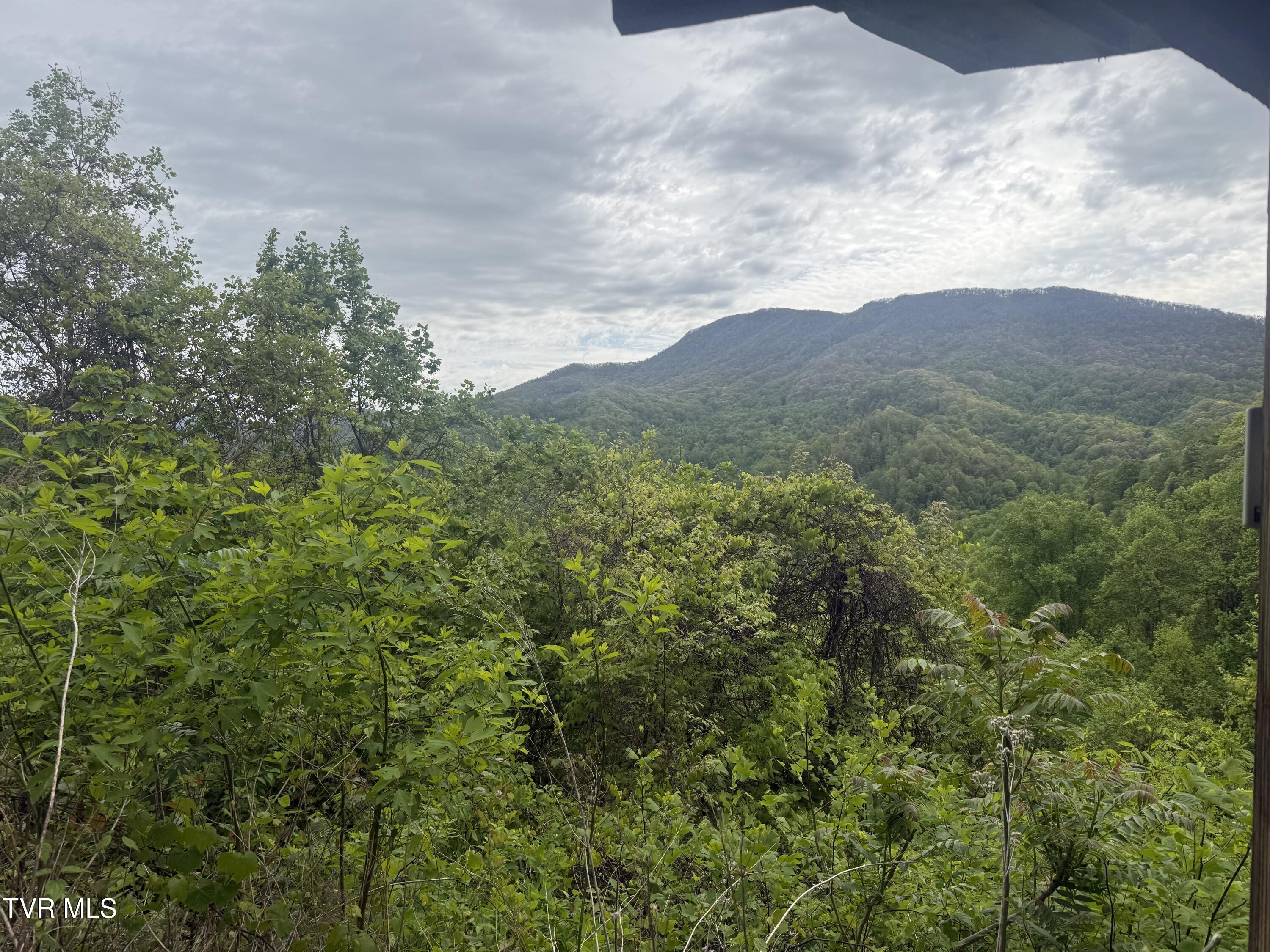 174 Doty Road Roan Mountain, TN 37687 - Photo 1 of 21 IMG_4946