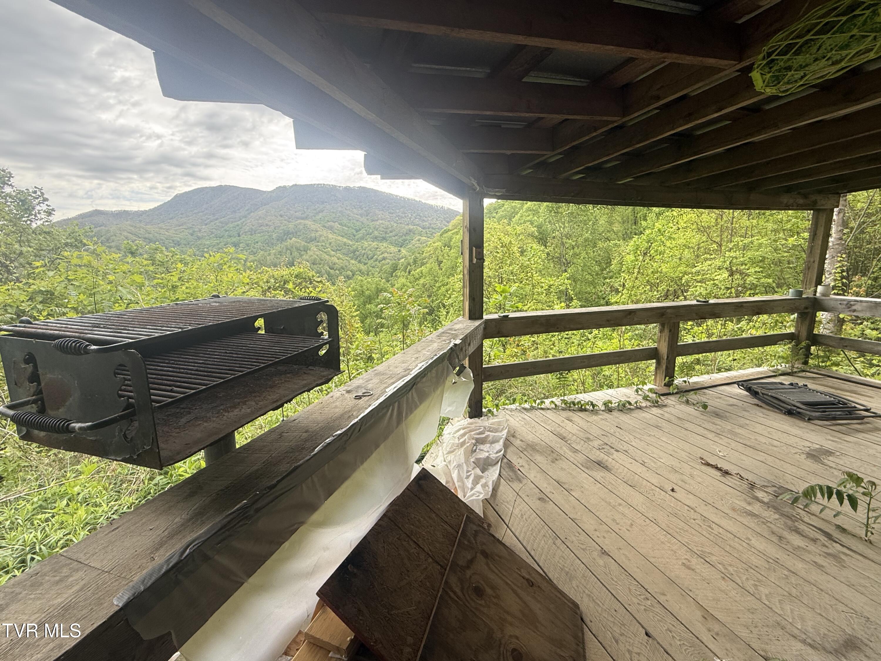 174 Doty Road Roan Mountain, TN 37687 - Photo 13 of 21 IMG_4942