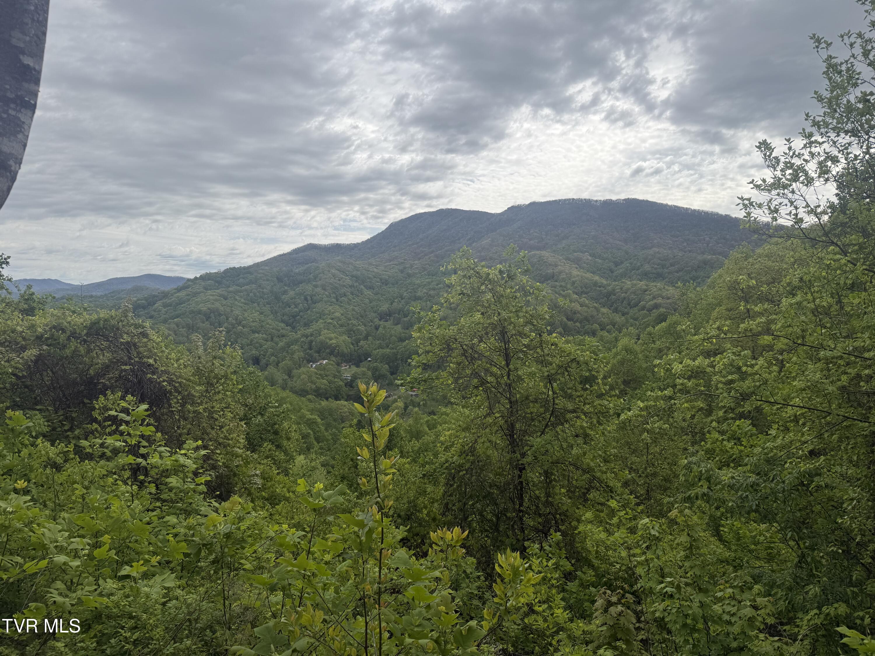 174 Doty Road Roan Mountain, TN 37687 - Photo 14 of 21 IMG_4939