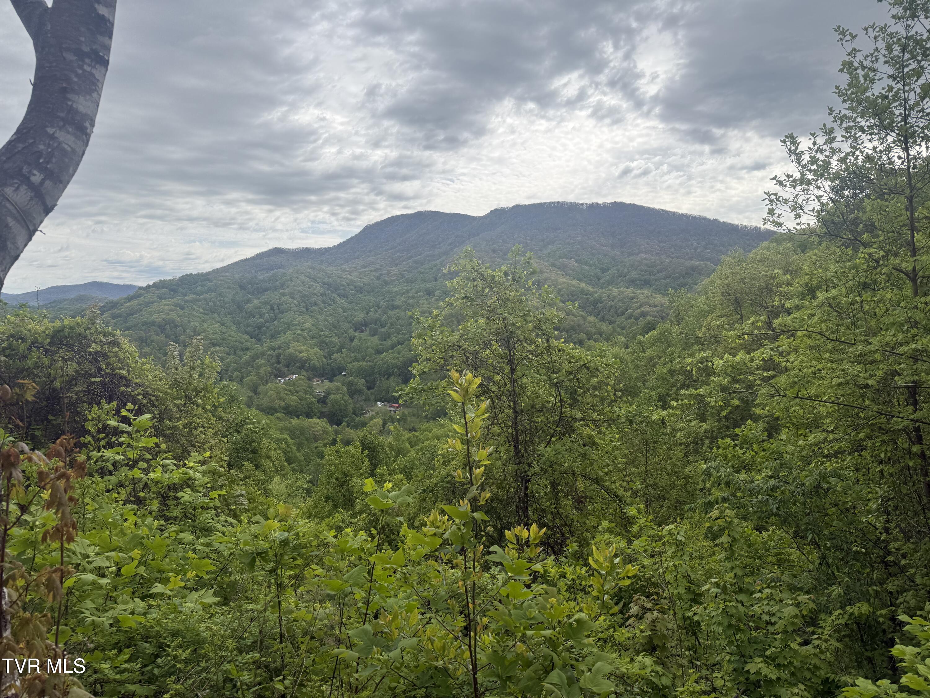 174 Doty Road Roan Mountain, TN 37687 - Photo 15 of 21 IMG_4938