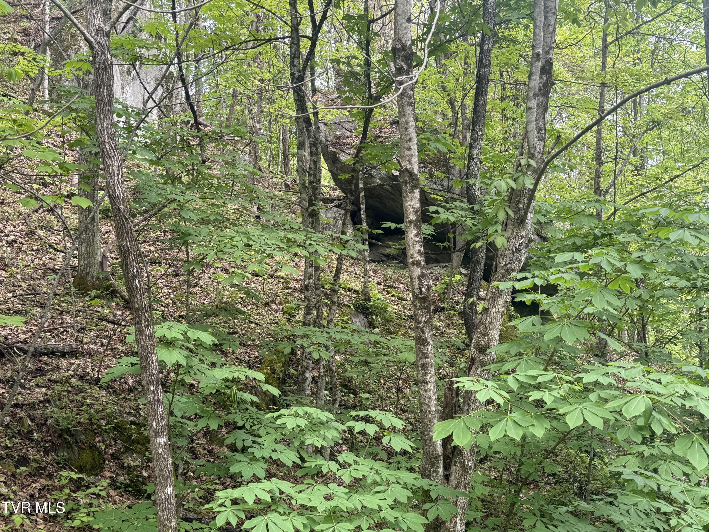 174 Doty Road Roan Mountain, TN 37687 - Photo 19 of 21 IMG_4934