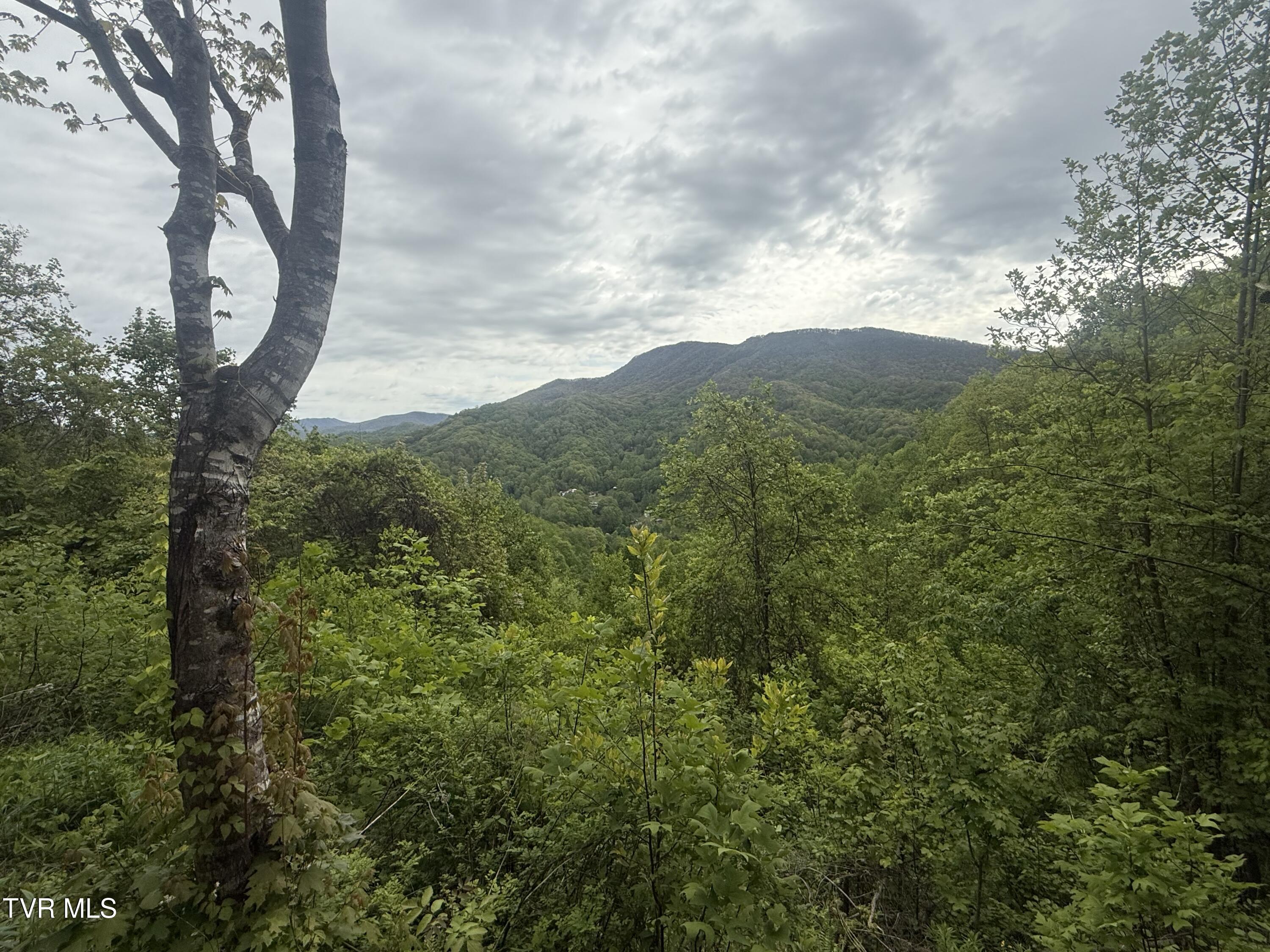 174 Doty Road Roan Mountain, TN 37687 - Photo 2 of 21 IMG_4940