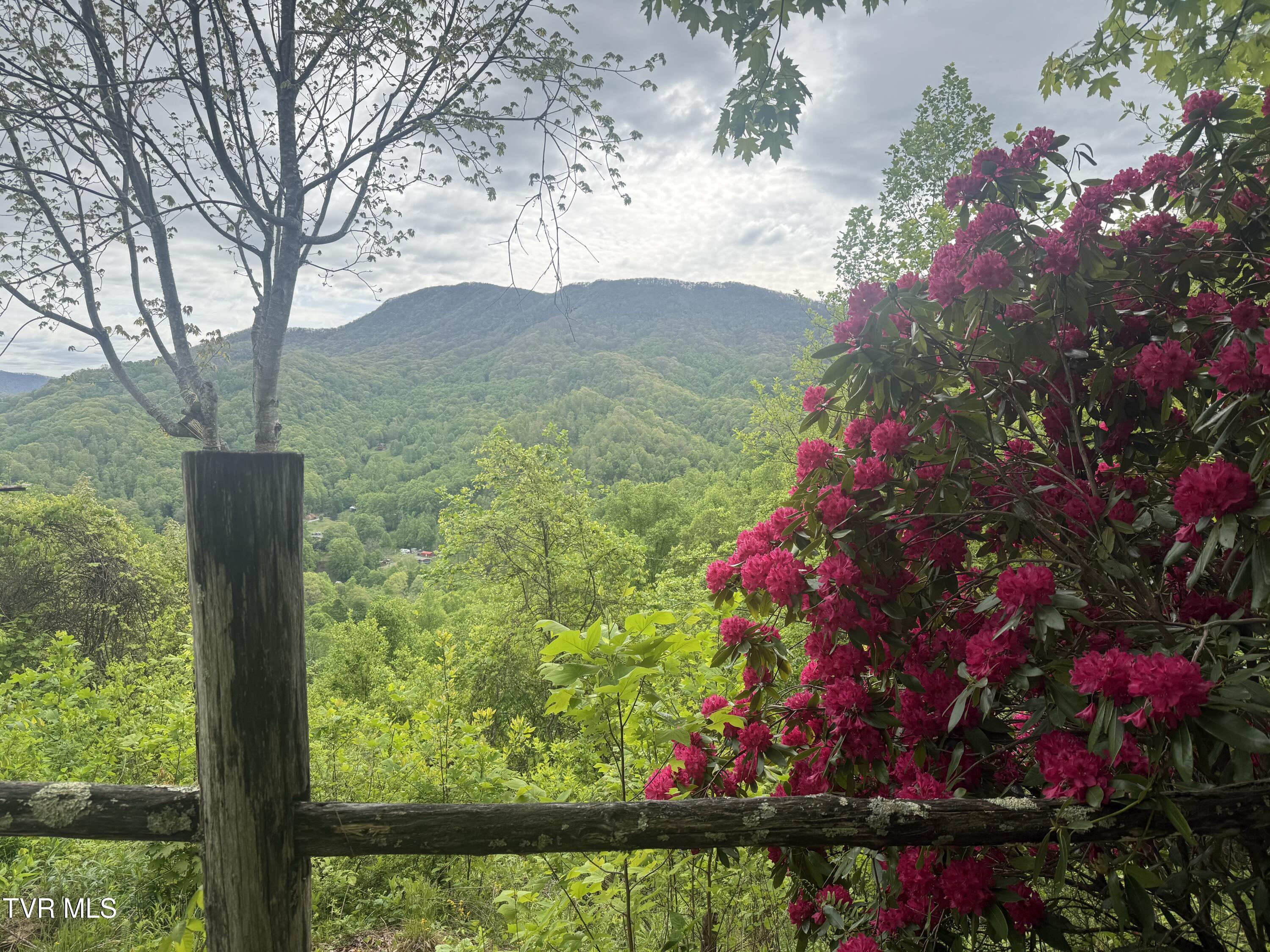 174 Doty Road Roan Mountain, TN 37687 - Photo 3 of 21 IMG_4937