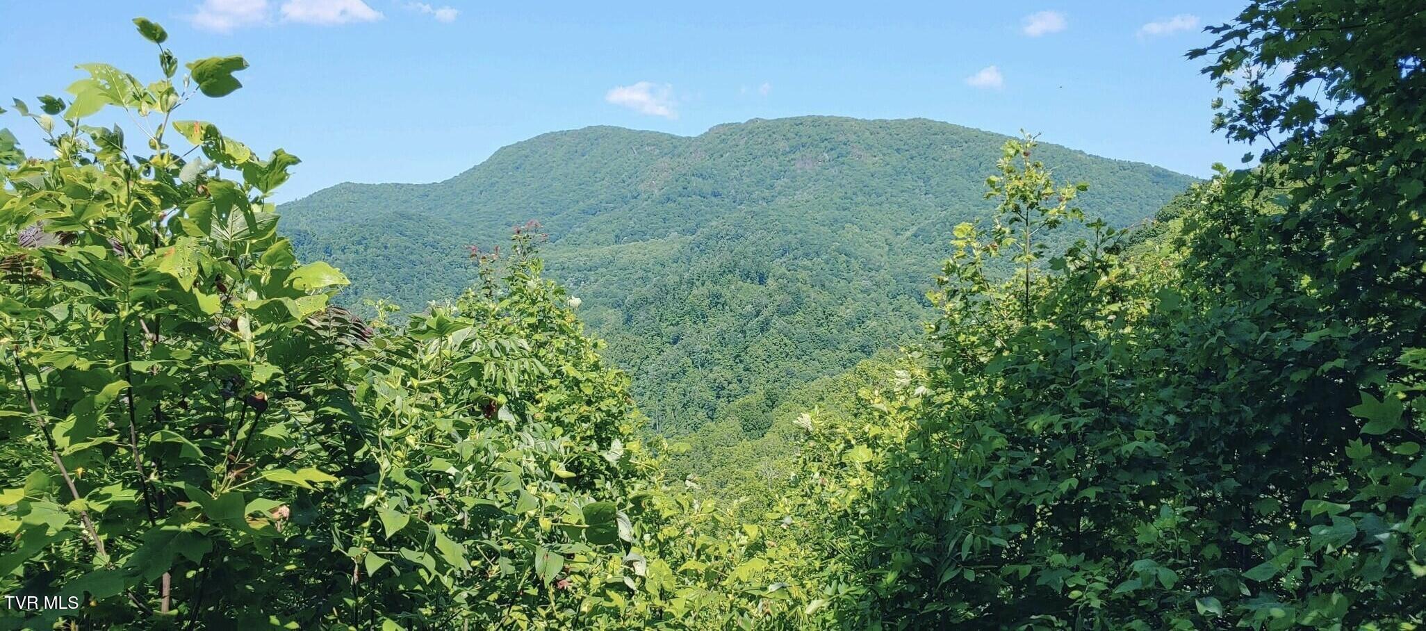 174 Doty Road Roan Mountain, TN 37687 - Photo 6 of 21 IMG_0177