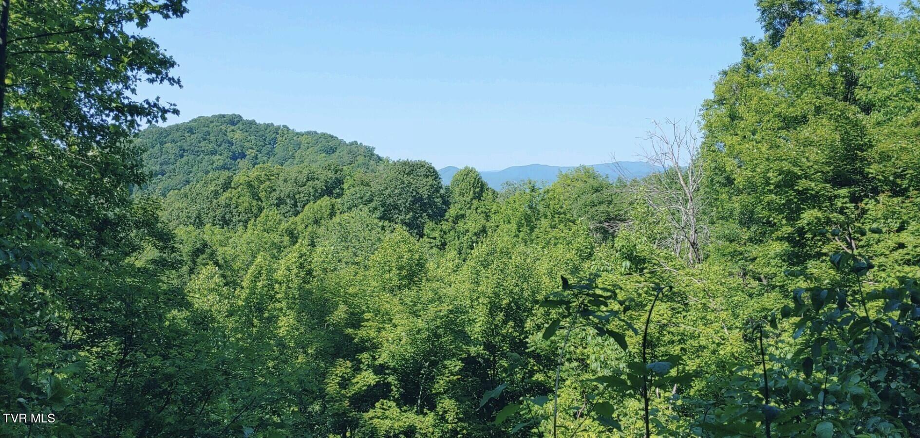 174 Doty Road Roan Mountain, TN 37687 - Photo 7 of 21 IMG_0179