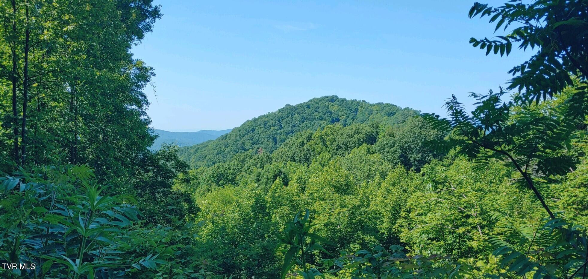 174 Doty Road Roan Mountain, TN 37687 - Photo 8 of 21 IMG_0180