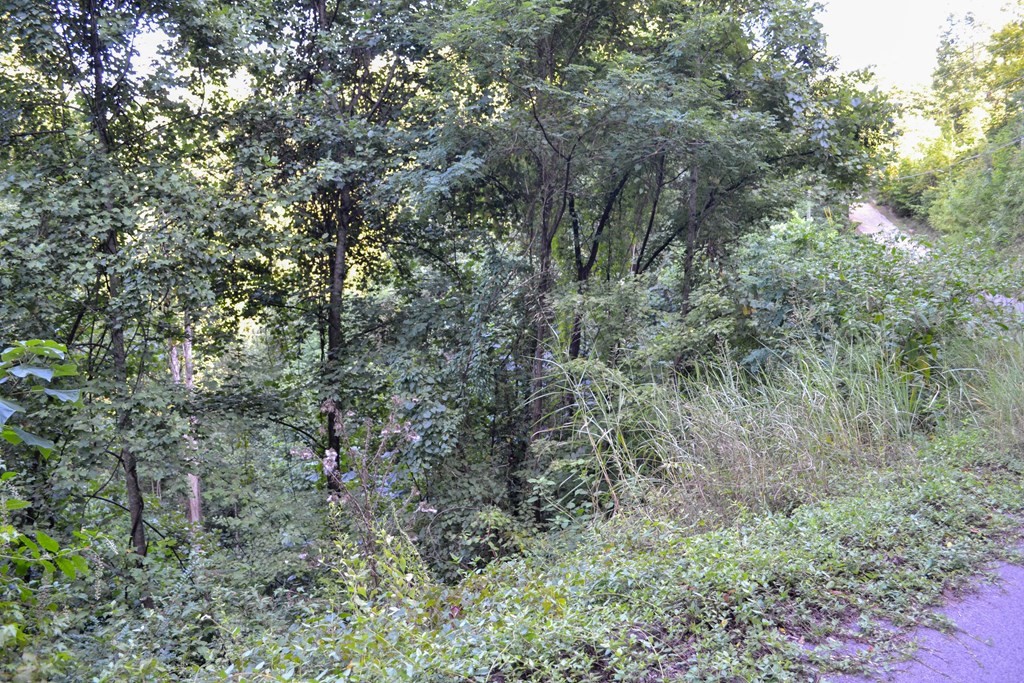 0 Bluff Ridge Road Sevierville, TN 37876 - Photo 5 of 15