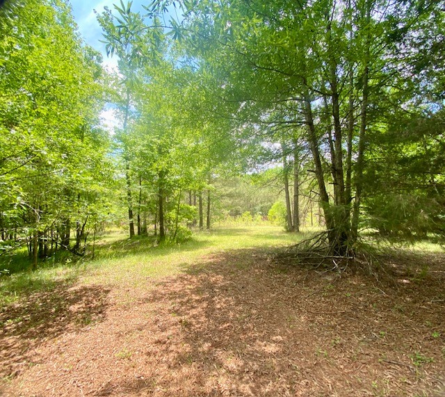 0 Pete Johnson Road Tignall, GA 30668 - Photo 12 of 43