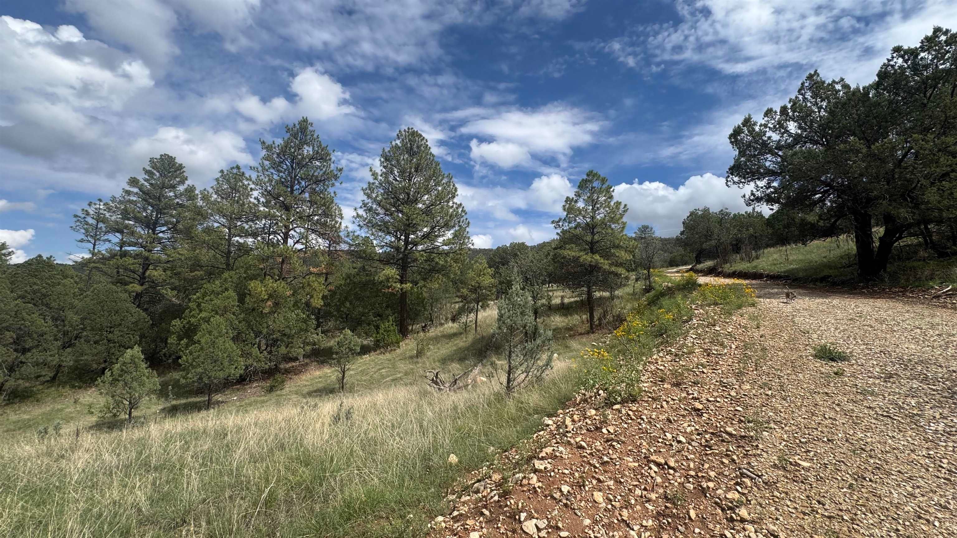 1826 A Rio Penasco Road Mayhill, NM 88339 - Photo 5 of 7 Gallery Image 5