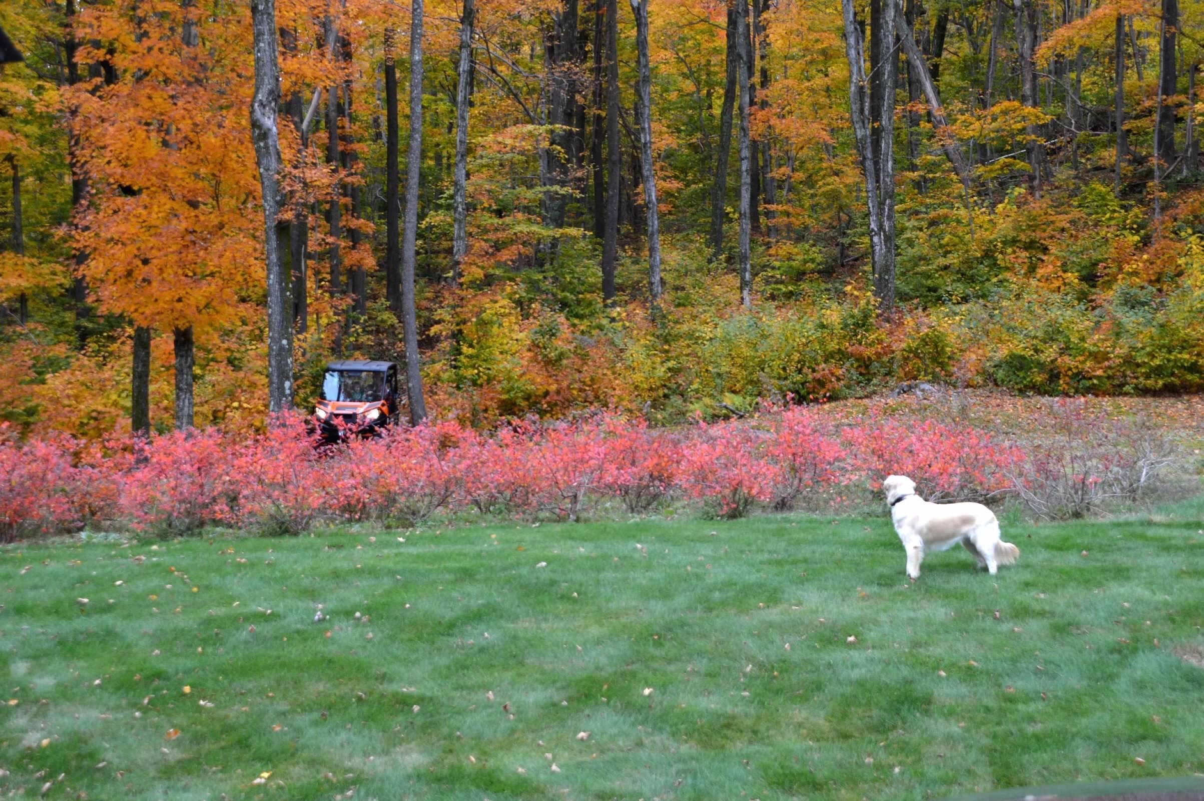 54 C Upton Road West Dover, VT 05356 - Photo 26 of 38