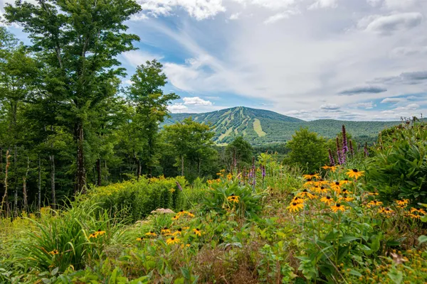 $3,300,000 | 54 C Upton Road, West Dover, VT 05356