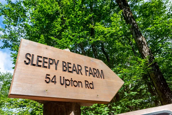 $3,300,000 | 54 C Upton Road, West Dover, VT 05356