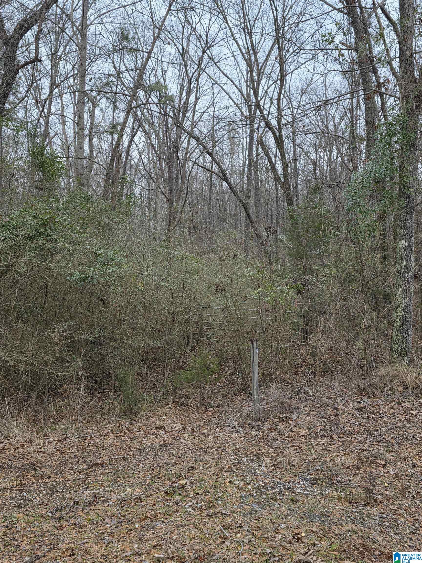 322 Tucker Road Talladega, AL 35160 - Photo 3 of 21