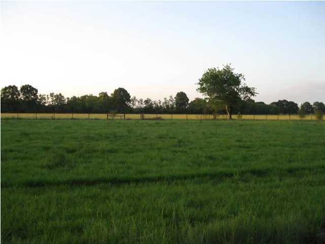 1653 Savoie Road Cankton, LA 70584 - Photo 1 of 1 Primary Photo
