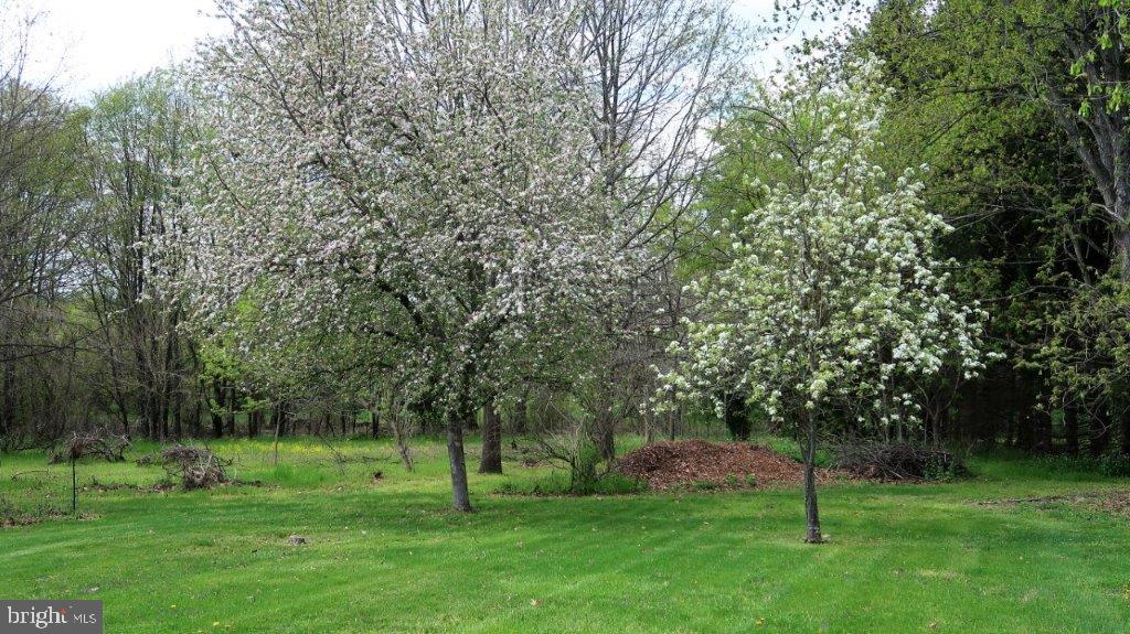 84 Knoxlyn-Orrtanna Road Gettysburg, PA 17325 - Photo 40 of 48