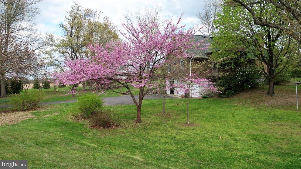 84 Knoxlyn-Orrtanna Road Gettysburg, PA 17325 - Photo 42 of 48