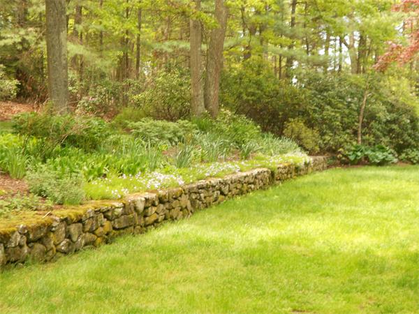 75 Lincoln Road Wayland, MA 01778 - Photo 4 of 27 a view of a yard of a building