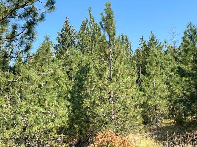 36-xx 36-xx Breckenridge Road Rice, WA 99167 - Photo 1 of 7