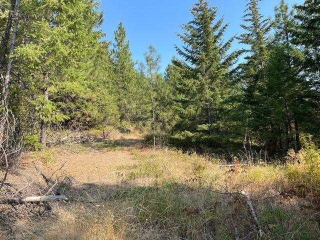 36-xx 36-xx Breckenridge Road Rice, WA 99167 - Photo 5 of 7