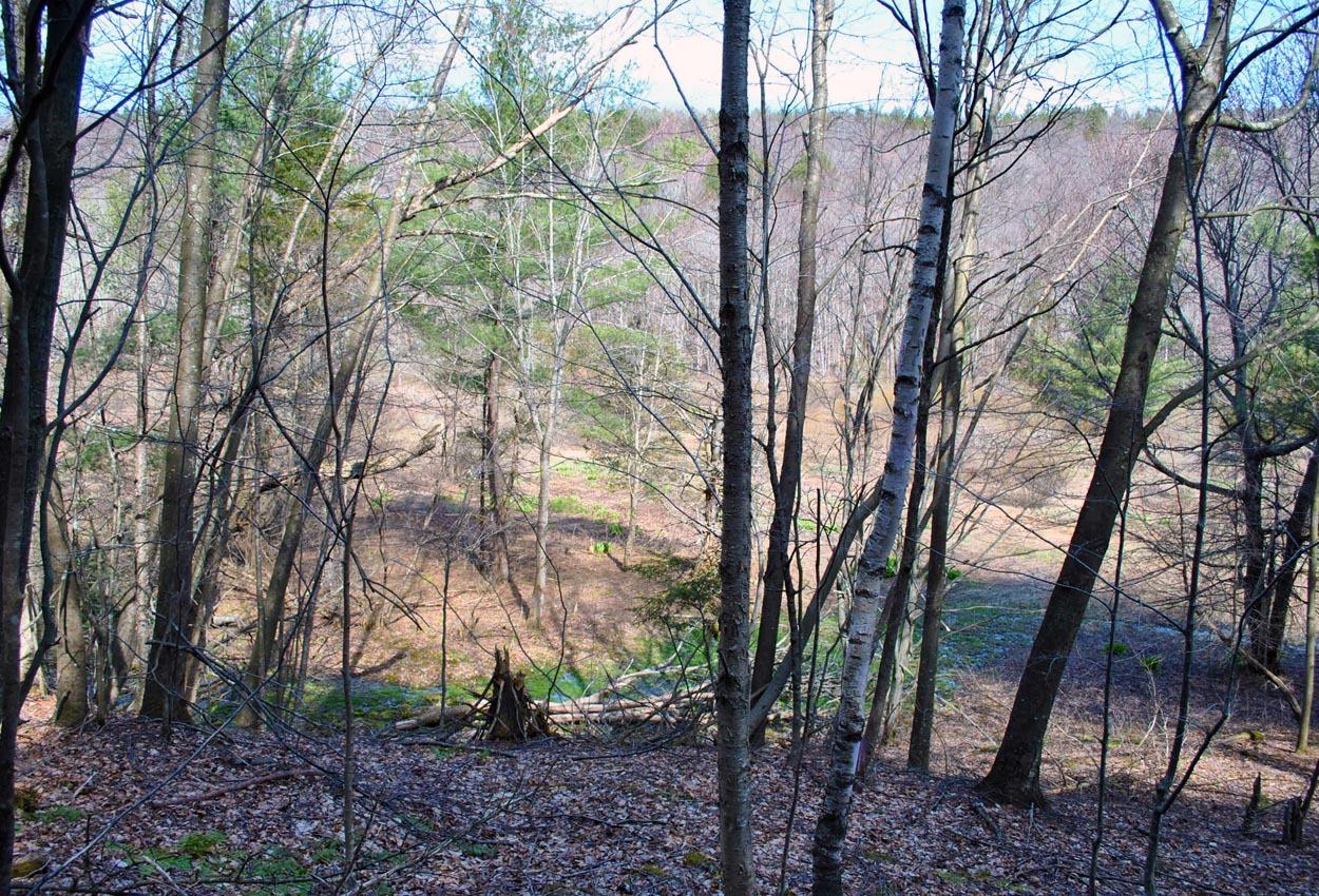 21 Old Ferris Farm Road Roxbury, NY 12434 - Photo 1 of 1 Gallery Image 1