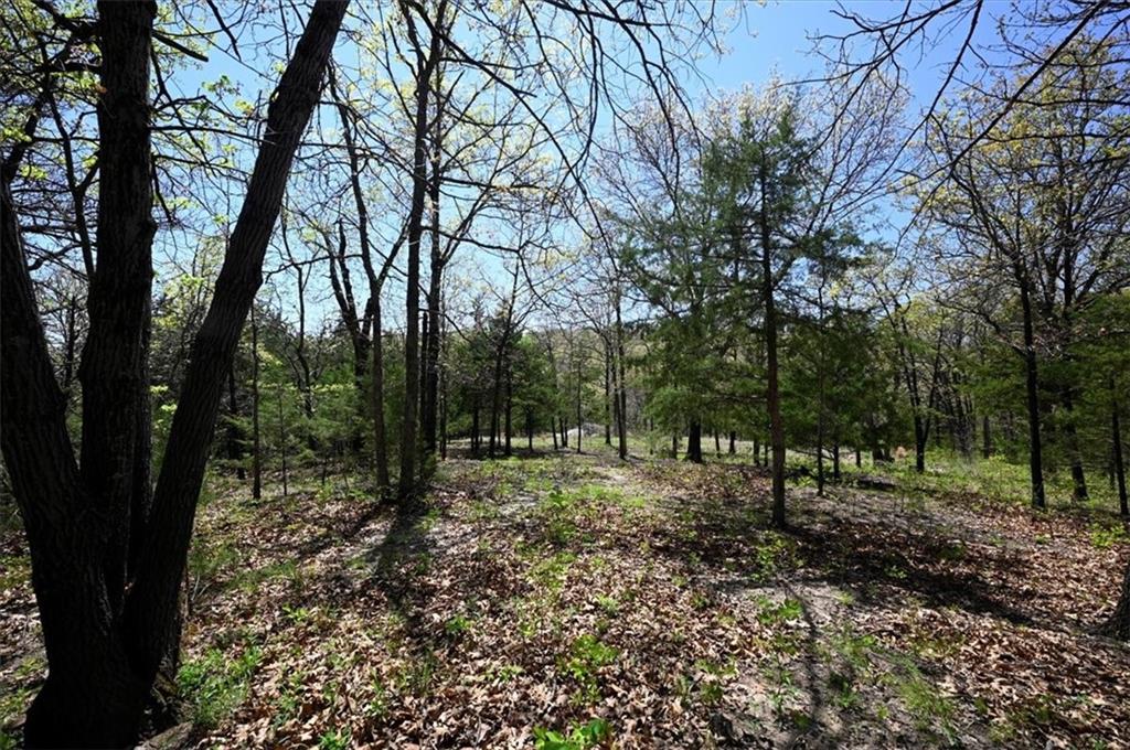 0 Millwood Road Easton, KS 66020 - Photo 8 of 12