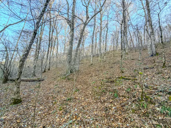 a view of a field with an outdoor space