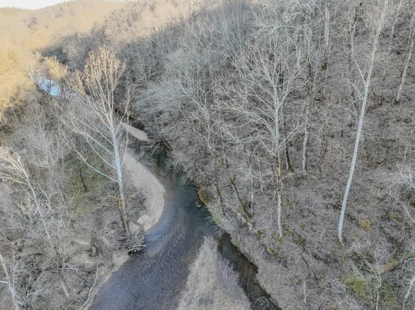 a close up of a plant with a yard