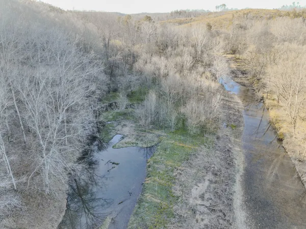 a close up of a plant in a field