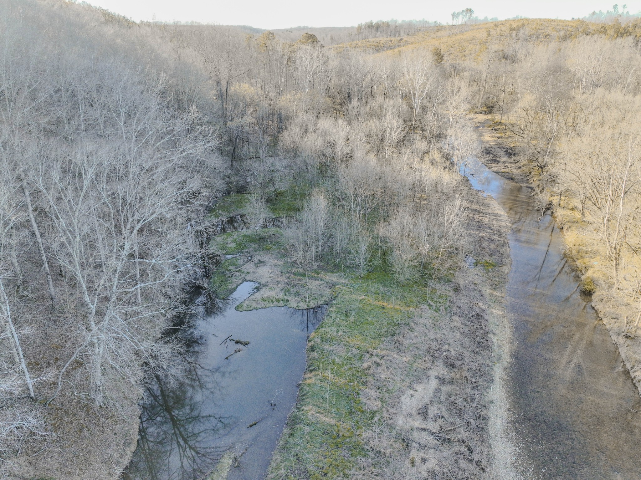 0 Bryant Boswell Road Westpoint, TN 38486 - Photo 15 of 27 a view of a dry yard
