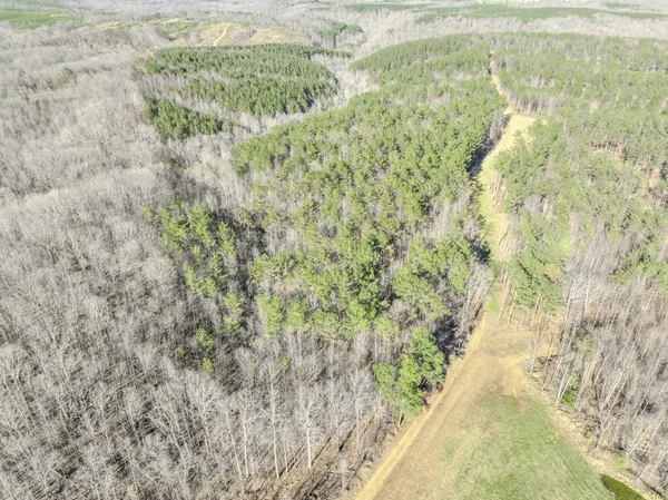 a view of a field of grass and trees