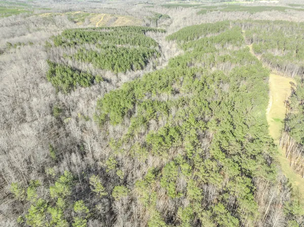 a view of a dry yard with green space